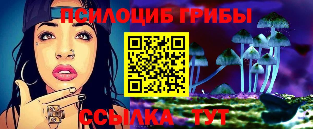 Галлюциногенные грибы GOLDEN TEACHER  Вход с VPN  Семилуки 