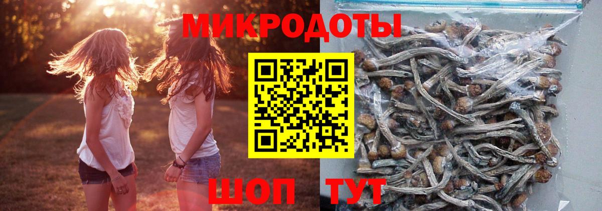 Псилоцибиновые грибы прущие грибы Семилуки